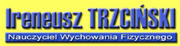 logo mini